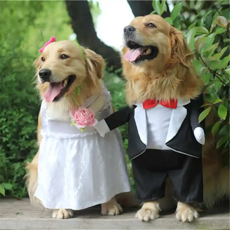 Disfraz De Perro Para Fiesta De Boda Ropa De Perro Grande Para Perros Medianos Y Pequenos Traje De Perro Traje De Princesa Prince Golden Retriever Aliexpress