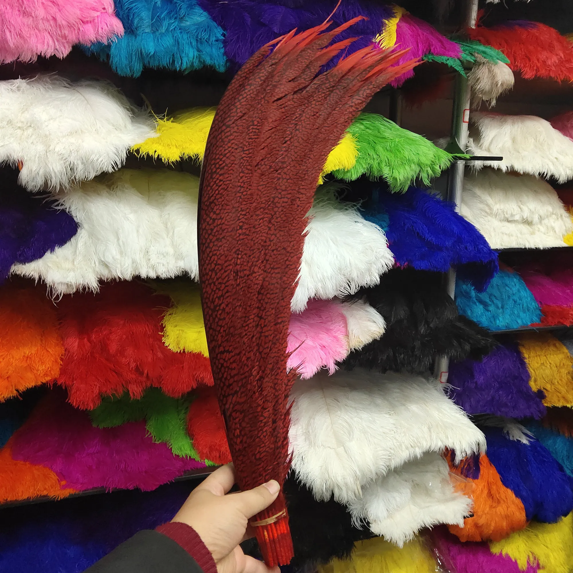Venta Al Por Mayor De Plumas De Faisán Natural Con Cuello De Anillo Para Manualidad, Plumas De 10-75cm, Accorios De Decoración Para Fitas, Bodas Y Carnaval - AliExprs 15