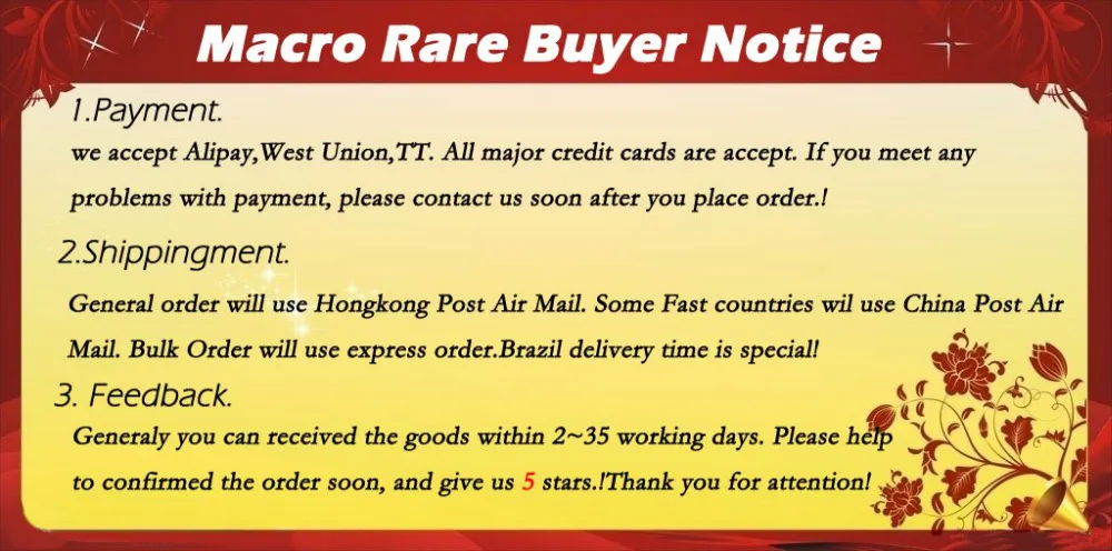 3771533_172901258181_2