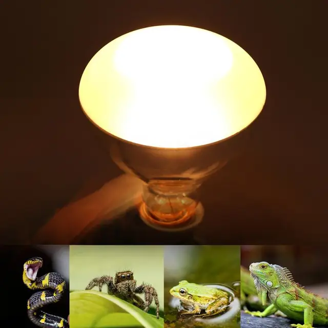 75/120W UVA+UVB Reptile Lamp Bulb Turtle Basking UV Light Bulbs Heating