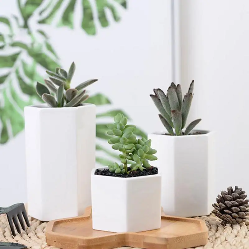 Augkun 1 Pc Bunga Succulent Pot Heksagonal Porselen Putih Pot