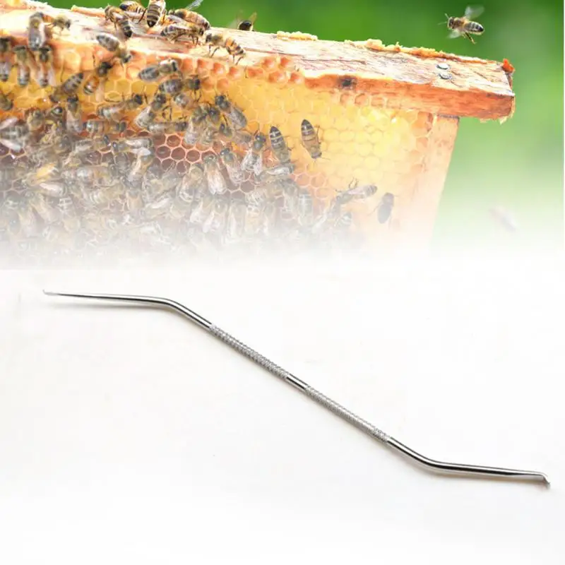 

Stainless Steel Bee Needle Beekeeper Bee Hive Queen Larva Rearing Feeding Equipment Plastic Beekeeping Moving Grafting Tools
