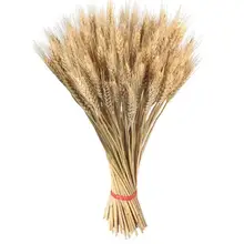 100 шт пшеничные уши сушеные цветы садовые растения натуральные основные цвета пшеничные уши Свадебные украшения реквизит бутоньерка