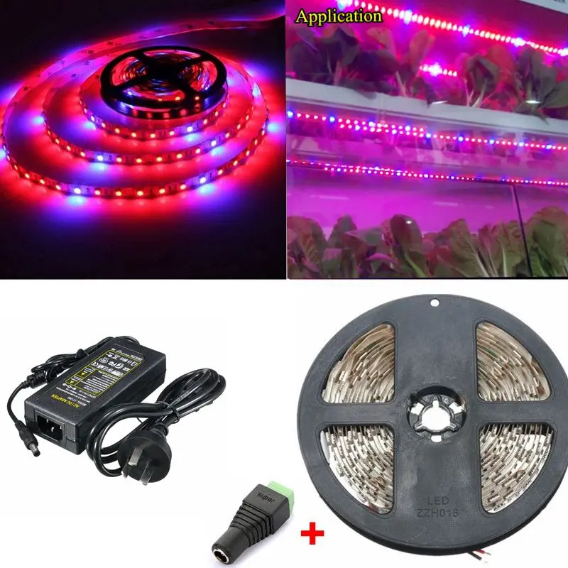 

LED Plant Grow Phyto Lamps Full Spectrum LED Strip Light SMD 5050 Chip LED Powerful Grow Lights For Greenhouse Hydroponic plant