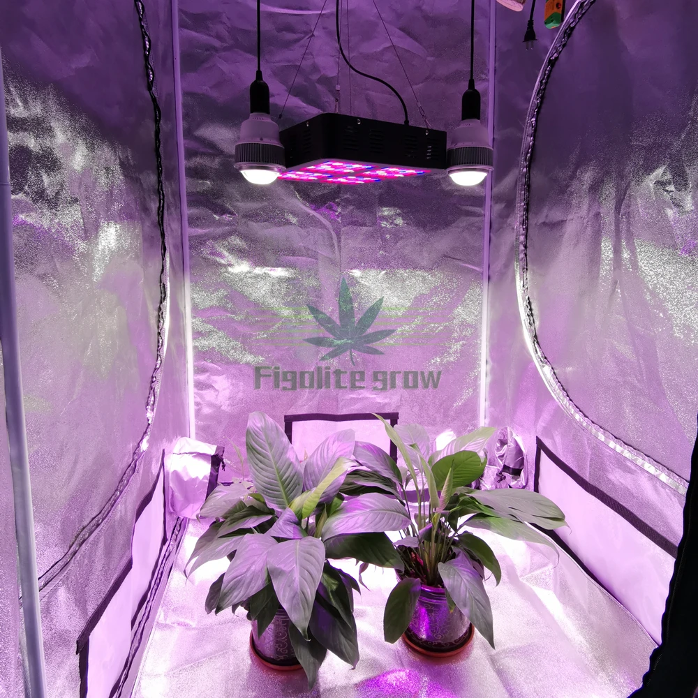 2 шт. Figolite grow 100W 3500K COB CXB3590 E27/E26 светодиодный светильник для выращивания