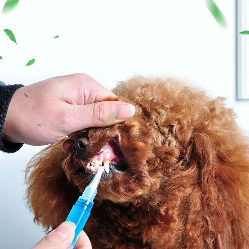 

Dog Teeth Whitening Pen Carbamide Peroxide Gel Effective Painless No Sensitivity Easy To Use For Pet