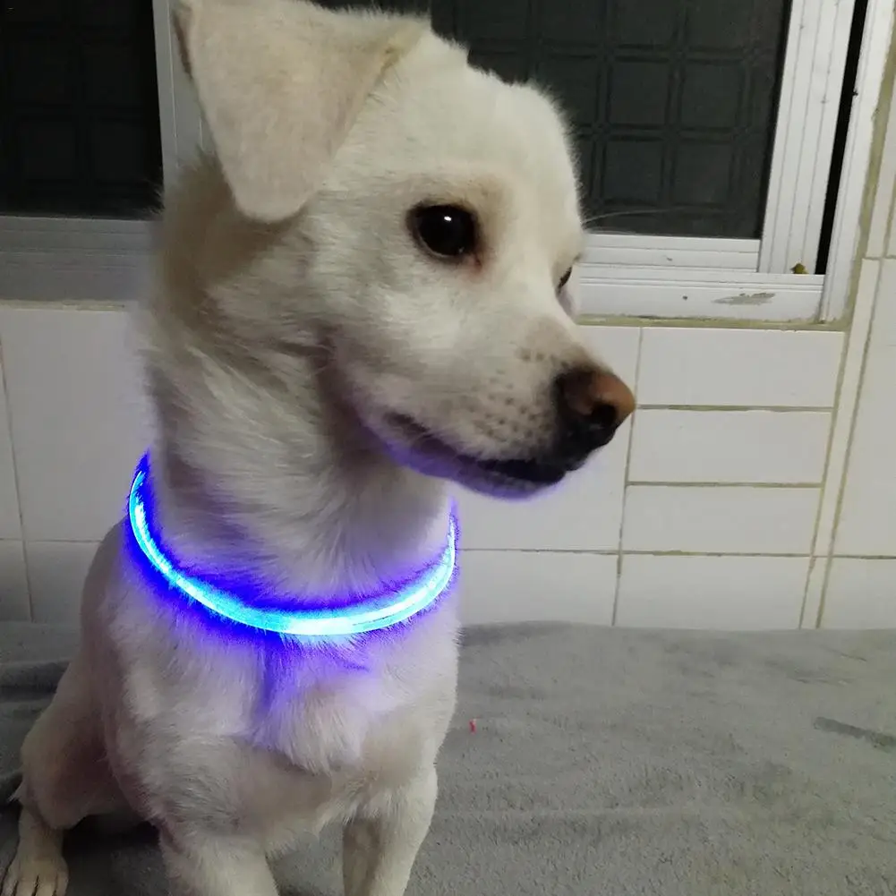 

2019 New LED Pet Collar Luminous Adjustable Pet Safety Collars Water Resistant Flashing Light