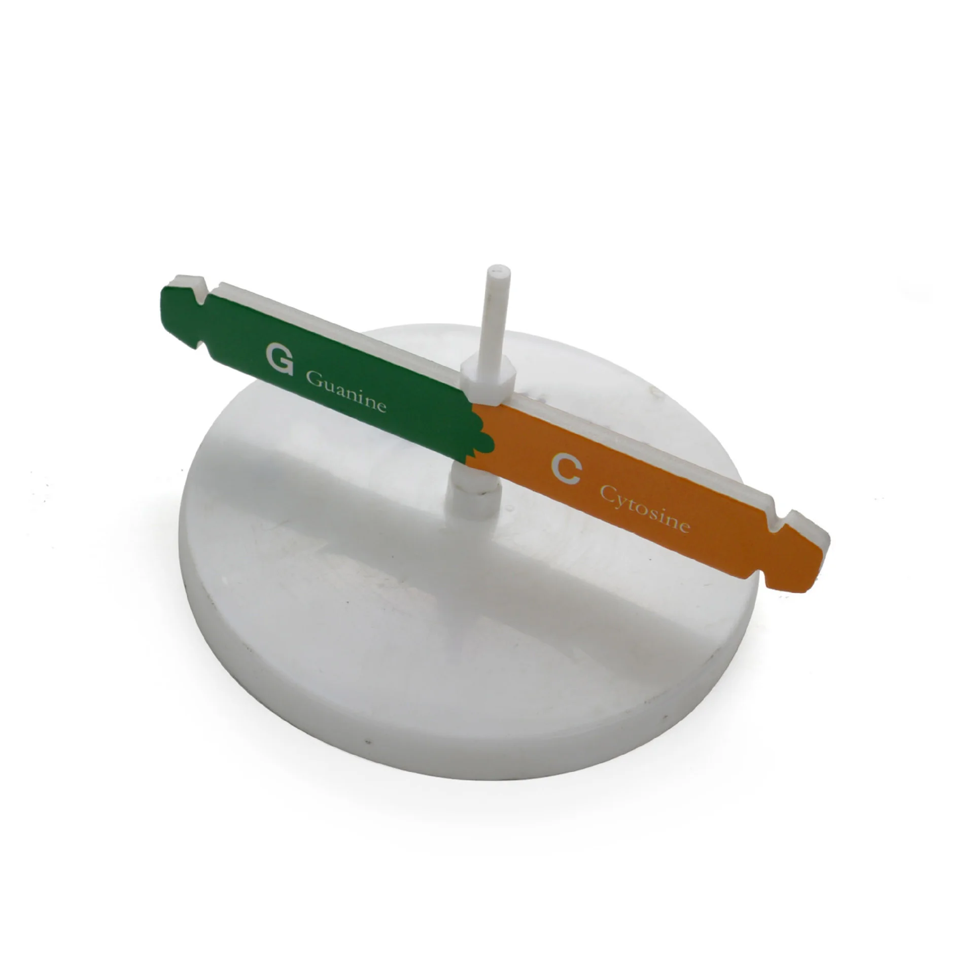  Human Genes DNA Models Double Helix Science Toys Popularization Teaching Learning Education Toys Fo - 32953084408