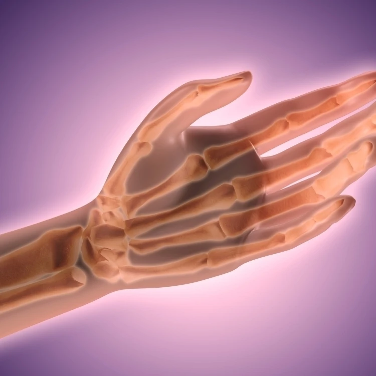 Conceptual image of bones in human hand Poster Print (16 x 12) | Дом и сад