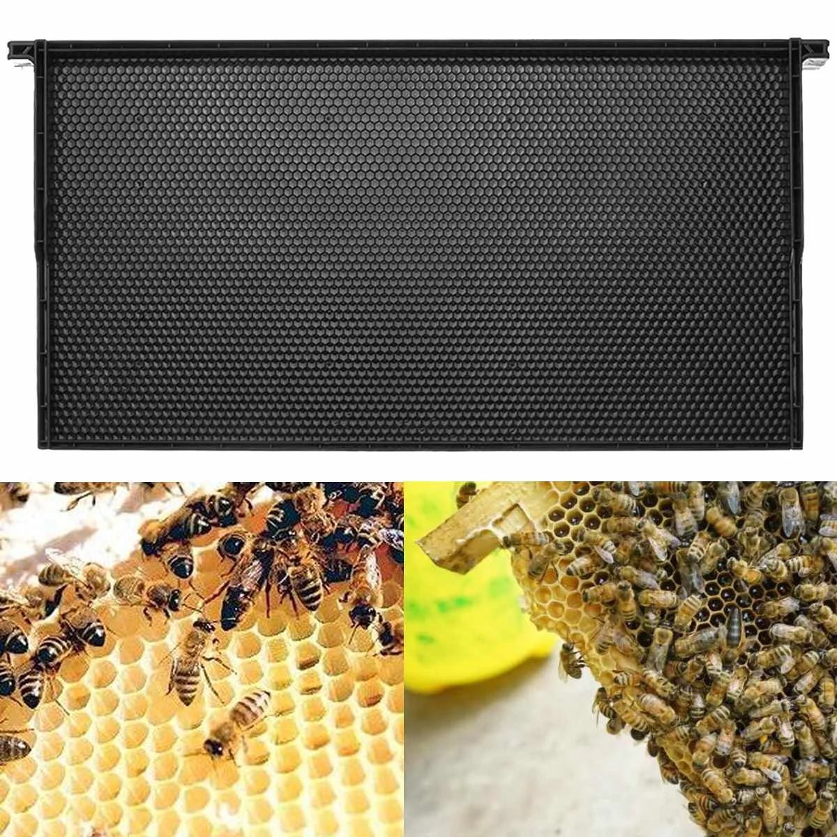 

Comb Foundation Beekeeping Supplies Plastic Black Comb Wax Foundation Comb Beehive Frames Honey Bee Beekeeping Hive Tools