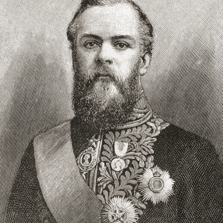 Виктор Александр Брюс 9 Граф Элгин 13 граф кинкардин 1849? Постер (26x30) | Дом и сад