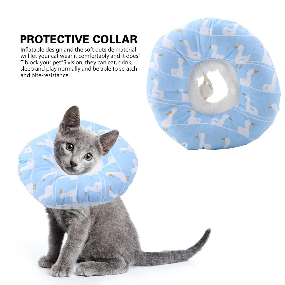 protective dog collars after surgery