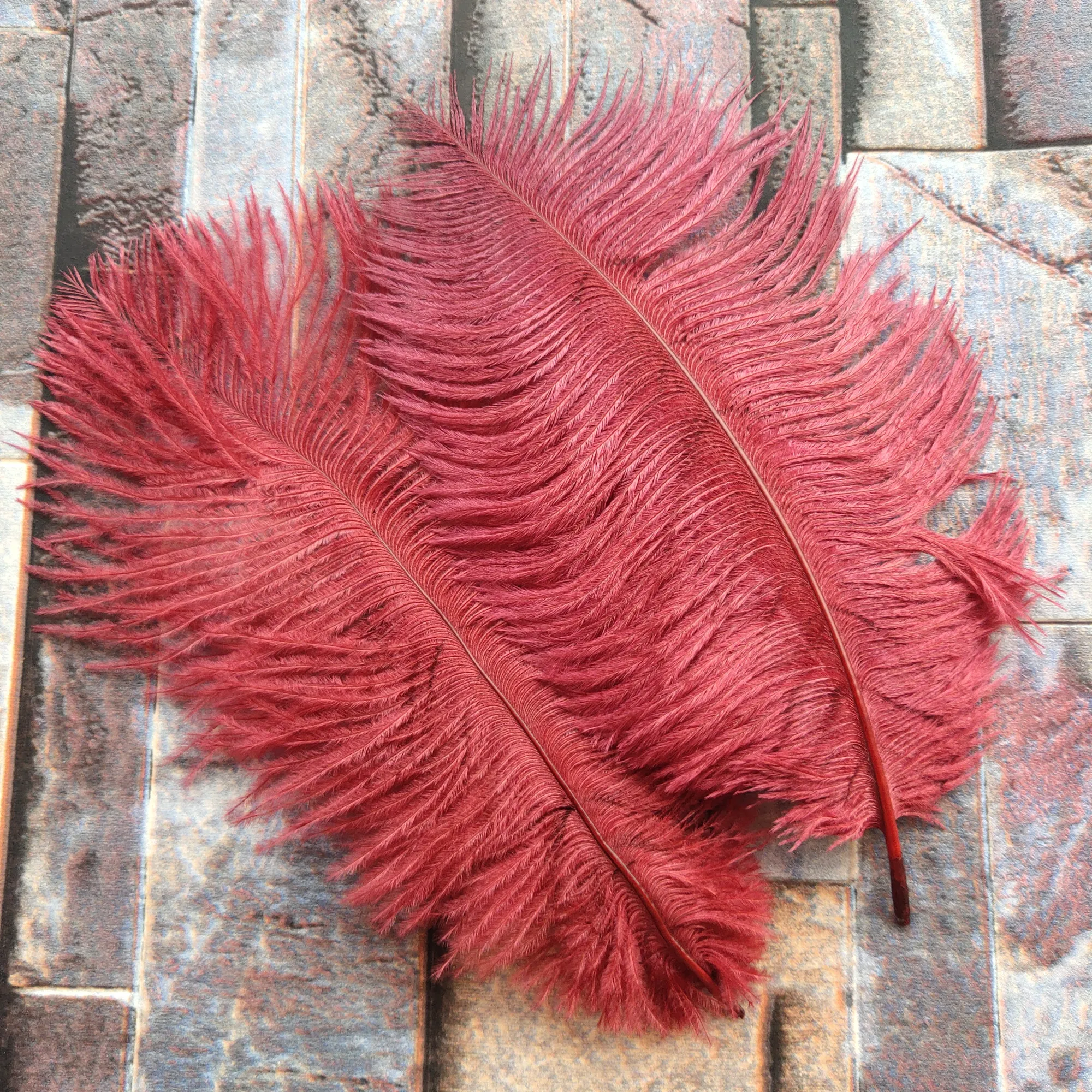 red ostrich feathers