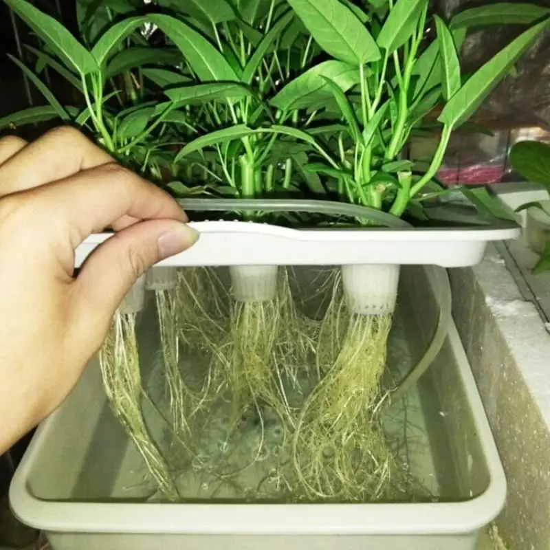 110V 6 Holes nursery pots Plant Site Hydroponic Systems Soilless cultivation plant seedling Grow Kit US Plug 110V 6 Holes nursery pots Plant Site Hydroponic Systems Soilless cultivation plant seedling Grow Kit US Plug