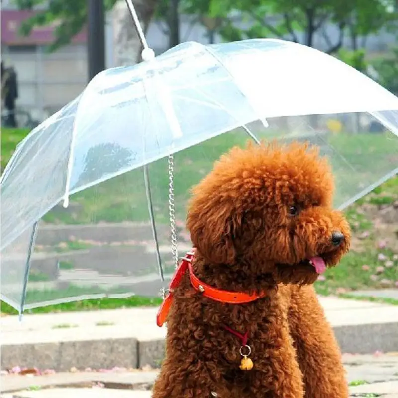 Прозрачный зонт для питомца, портативный, со встроенным поводком, удобный зонт со щенками, котом, дождевиком, зонтиком для собаки, дождевик для собак