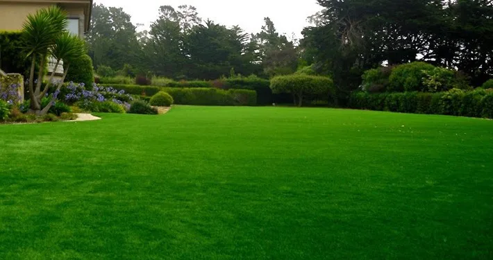 garden turf grass (25)