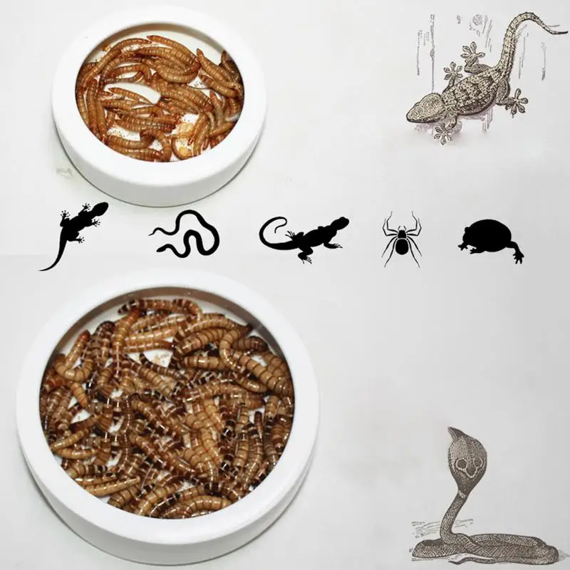 Хрупкая керамическая рептилия спасательная кормушка геккон от змей, птиц-амфибий инкубационный чехол для разведения