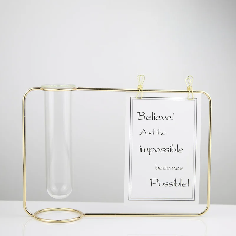 

Hot-Suspension Test Tube Transparent Glass Vase Metal Flower Stand Home Decoration Wrought Iron Photo Frame Water Culture Gree