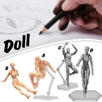 

Body model Movable Skin Color PVC Painting Tools Funny Action Figures Men Women Hand Model