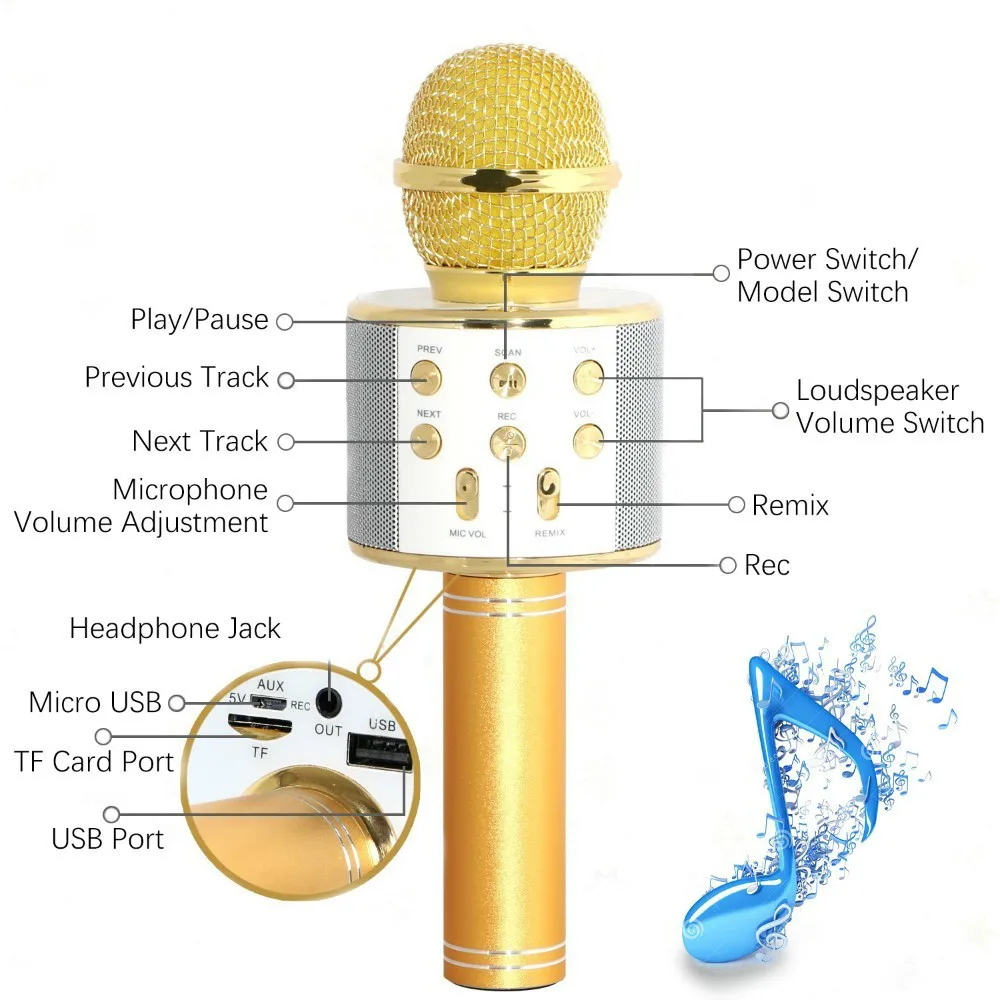handheld microphone with built in speaker