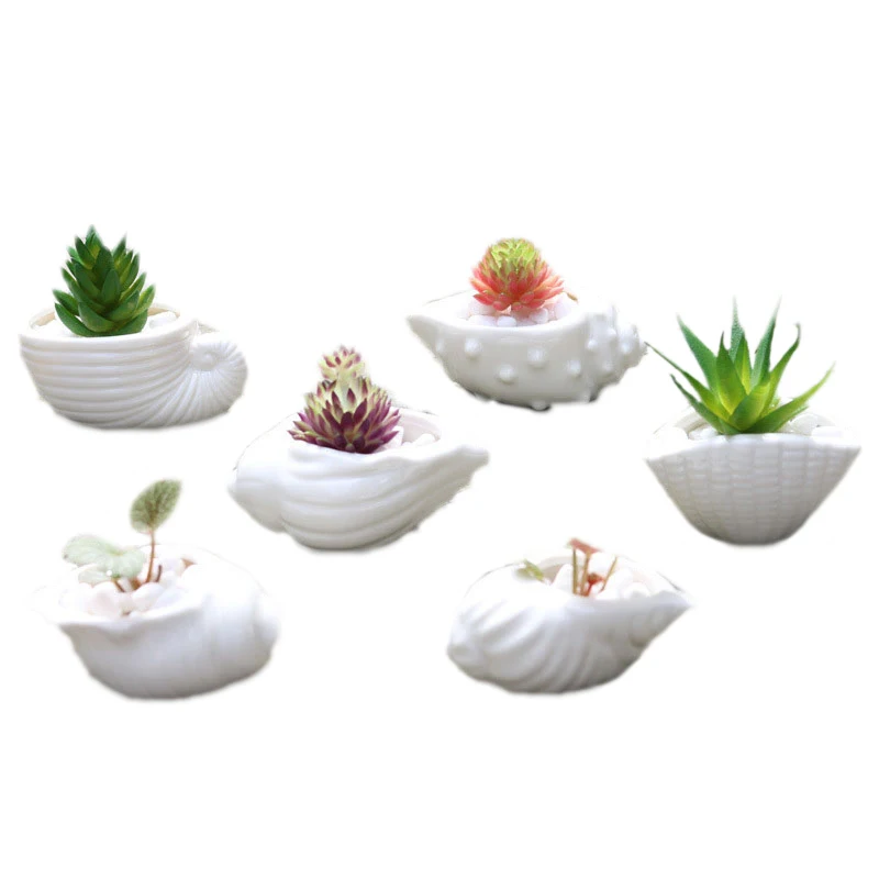 

6pcs/set Mini White Small Flowerpot shell Shape Ceramic Succulent Plant Pot Holder Fairy Garden Cactus Flower Pots Planter