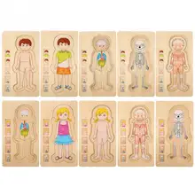 Новая деревянная головоломка для человеческого тела, игрушки для мальчиков и девочек, структура тела, деревянные Многослойные пазлы, Ранние развивающие игрушки для детей