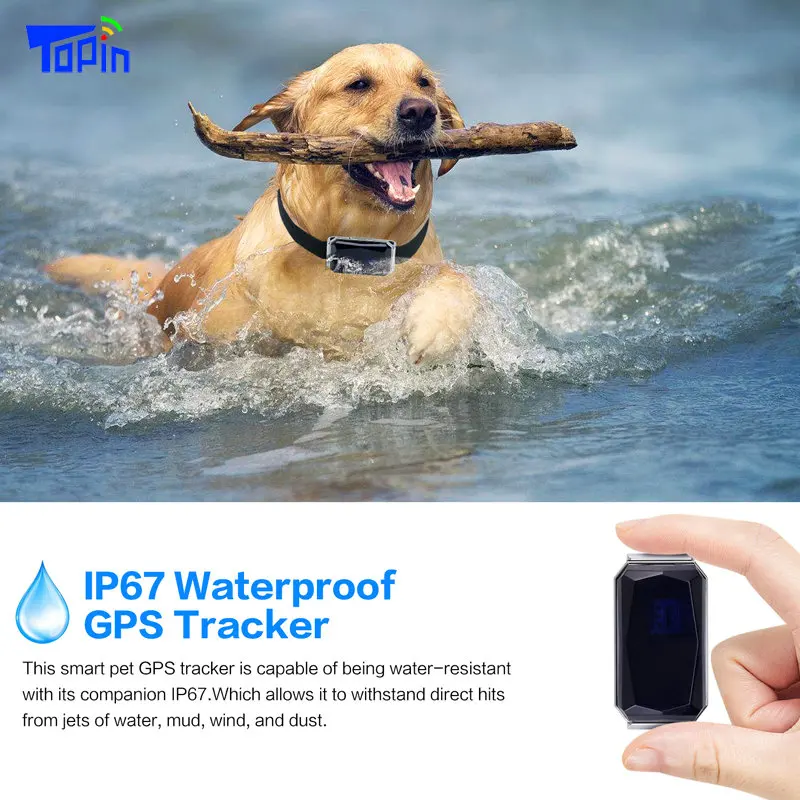 Nueva llegada IP67 impermeable Collar del animal doméstico GSM AGPS Wifi LBS Mini GPS Tracker para mascotas perros gatos ganado ovejas DE SEGUIMIENTO DE