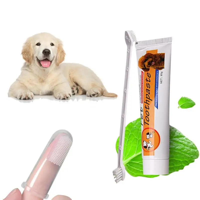 

Pet Oral Care Kit Dog Cat Toothbrush Toothpaste Set Improve Pet Oral Hygiene Mouth Cleaning Reduce Dental Plaque 1pcs