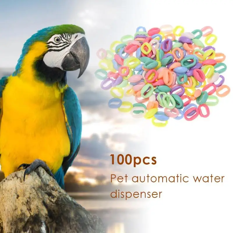 

100Pcs Parrot C-clip Toy Bird Colorful Plastic C-link Hook Cockatiel Parrot Hook Link Chain Toy Pet Chains Toys Accessories