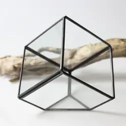 Неправильной формы стеклянный геометрический Террариум коробка настольное суккулентное растение кашпо случае