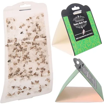 

6pcs/lot Effective Pantry Food Moths Pheromone Killer Sticky Glue Pest Reject Fly Moth Trap for Moles Sticker Factory Restaurant