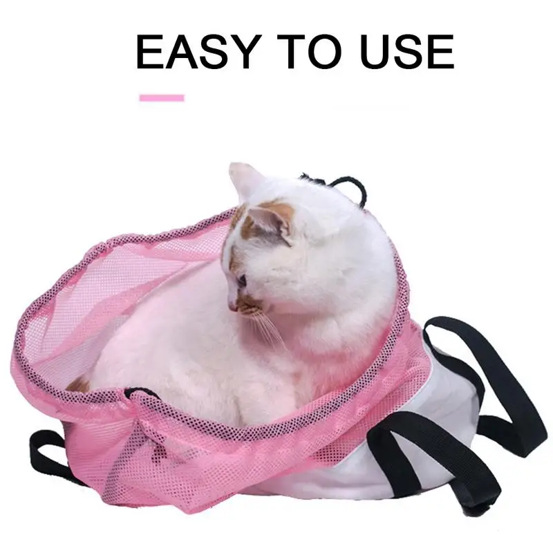cat holding bag