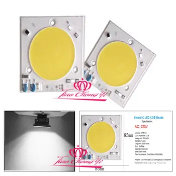 

50W Lightning protection led COB Smart IC Driver Fit For DIY LED Spotlight 220V