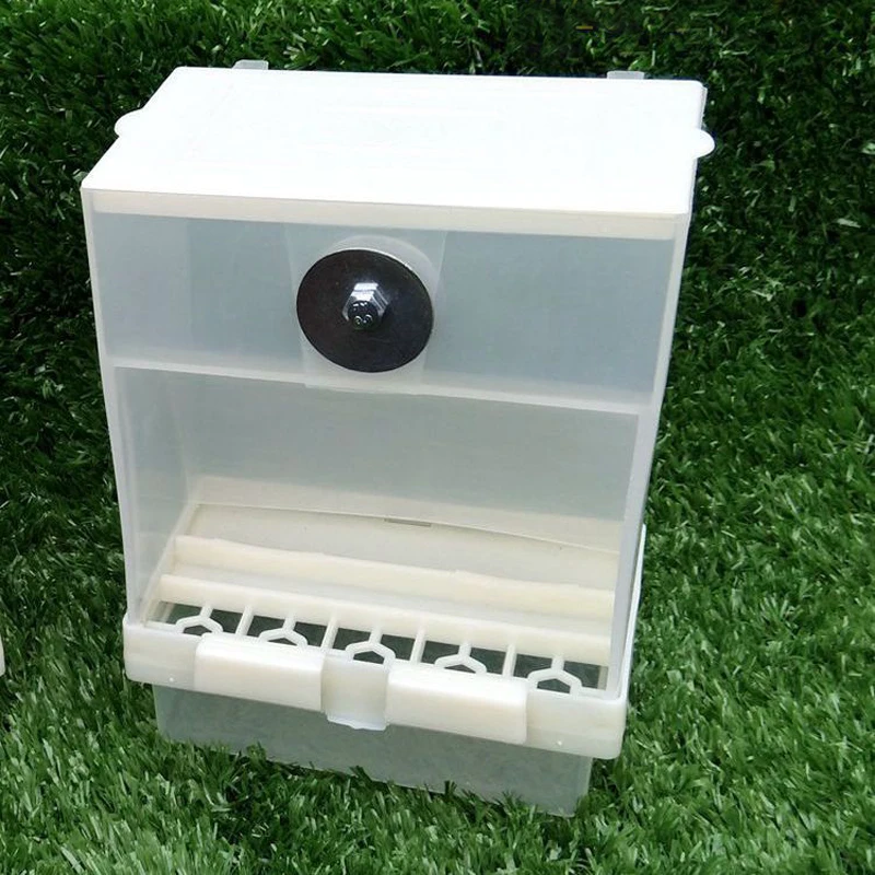 Acrylic Bird Feeder No Mess Automatic Seed Feeder Cage Parrot Canary Cockatielin Bird Feeding