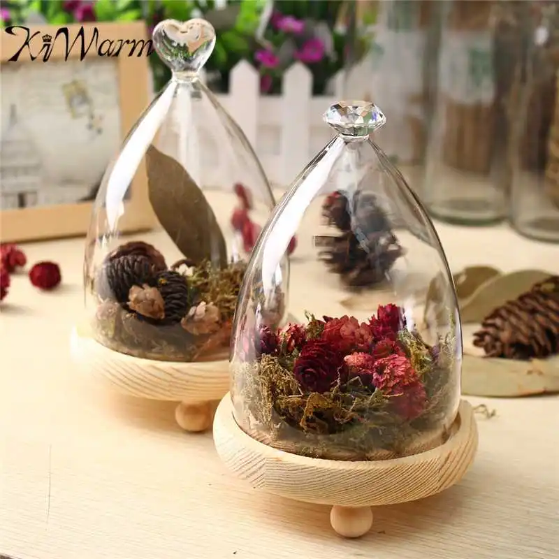 

KiWarm Fashion Glass Display Cloche Bell Jar Dome Flower Immortal Preservation Vase Wooden Base Home Decor Ornament