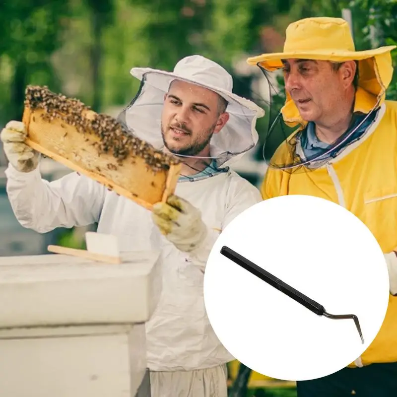 10 шт. нержавеющая сталь пчелиная игла передача пчелы улей королева пчелиный