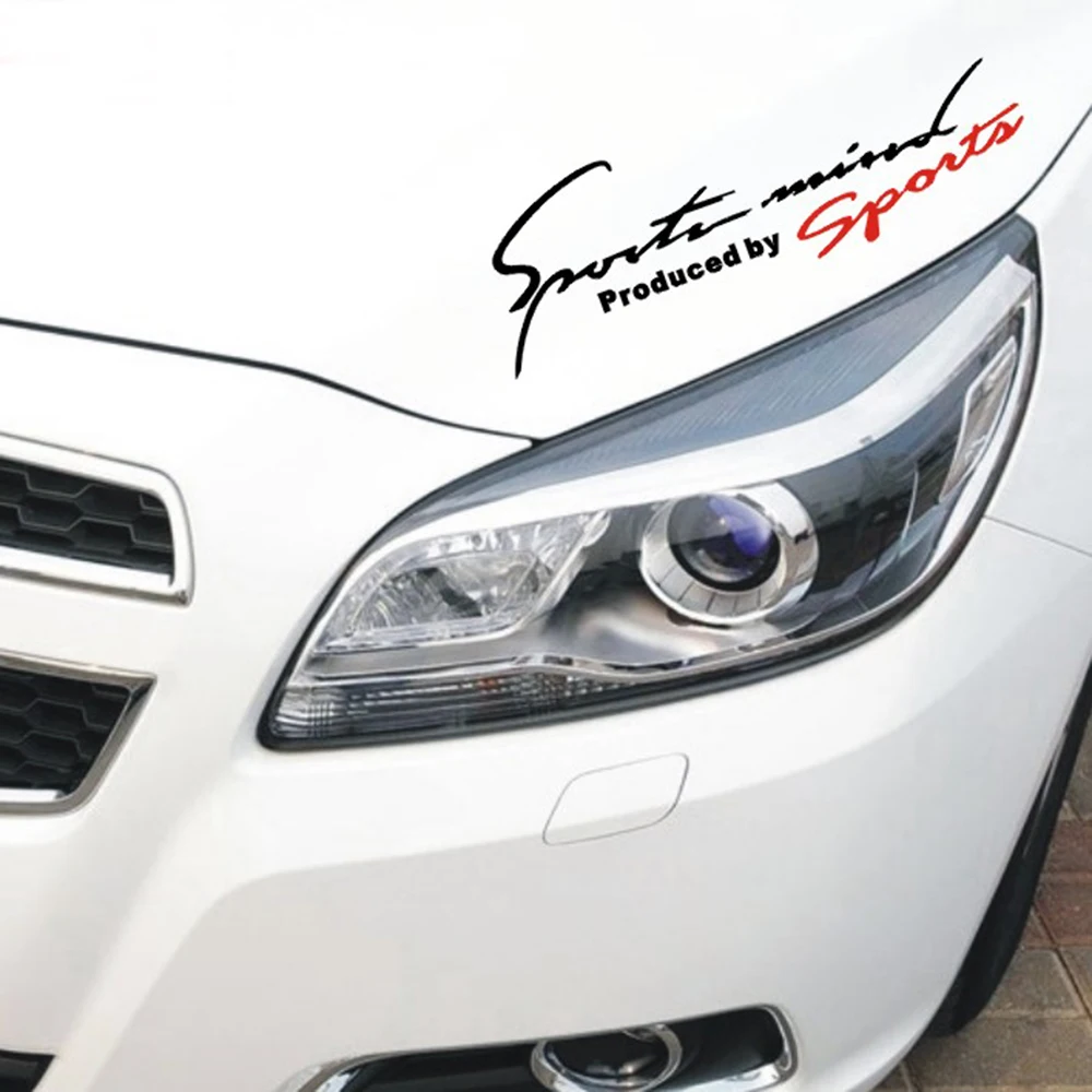 

Universal Car Styling Eyebrow Sticker Auto Hood Bumper Trunk Waistline Decal Car Headlight Trim Sports Letter 3D Sticker