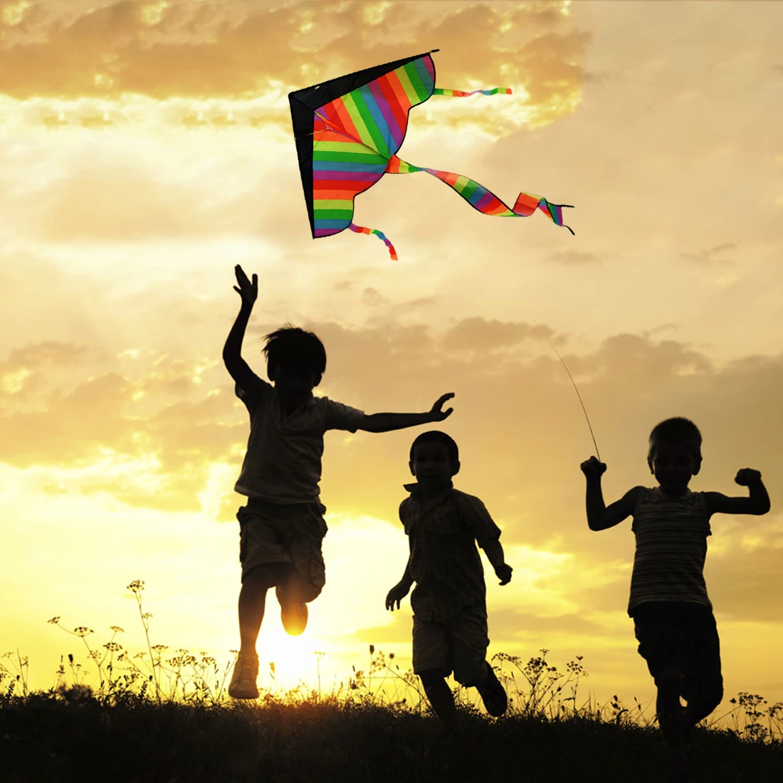 low cost  113*62cm Latest Foldable Outdoor Sports Sky Dancer Toy Kite 600D Polyester Fiberglass Flying Kite W