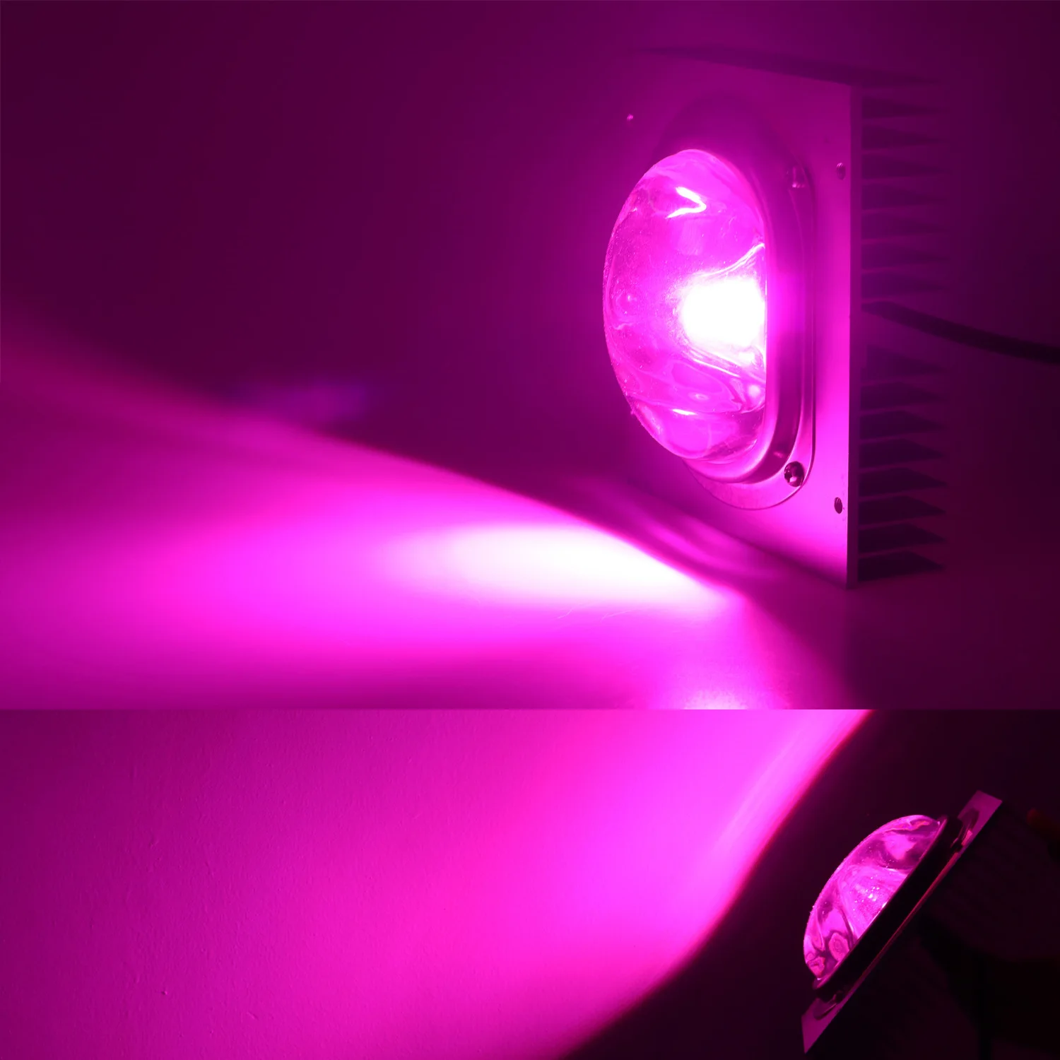 50 Вт DIY Led Cob светильник для выращивания полный спектр Cultivo комнатное растение палатка светильник s для теплиц цветок рассада Bridgelux растительный светильник