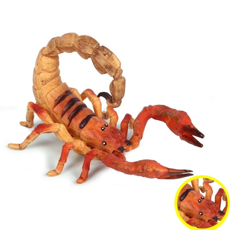 Детская имитация диких животных Скорпион насекомых на корточки статическая твердая модель игрушки