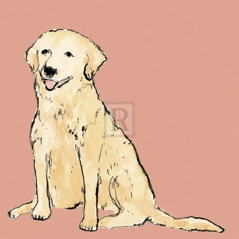 Boho Dogs IV Poster Print by Clare Ormerod (10 x 10) | Дом и сад
