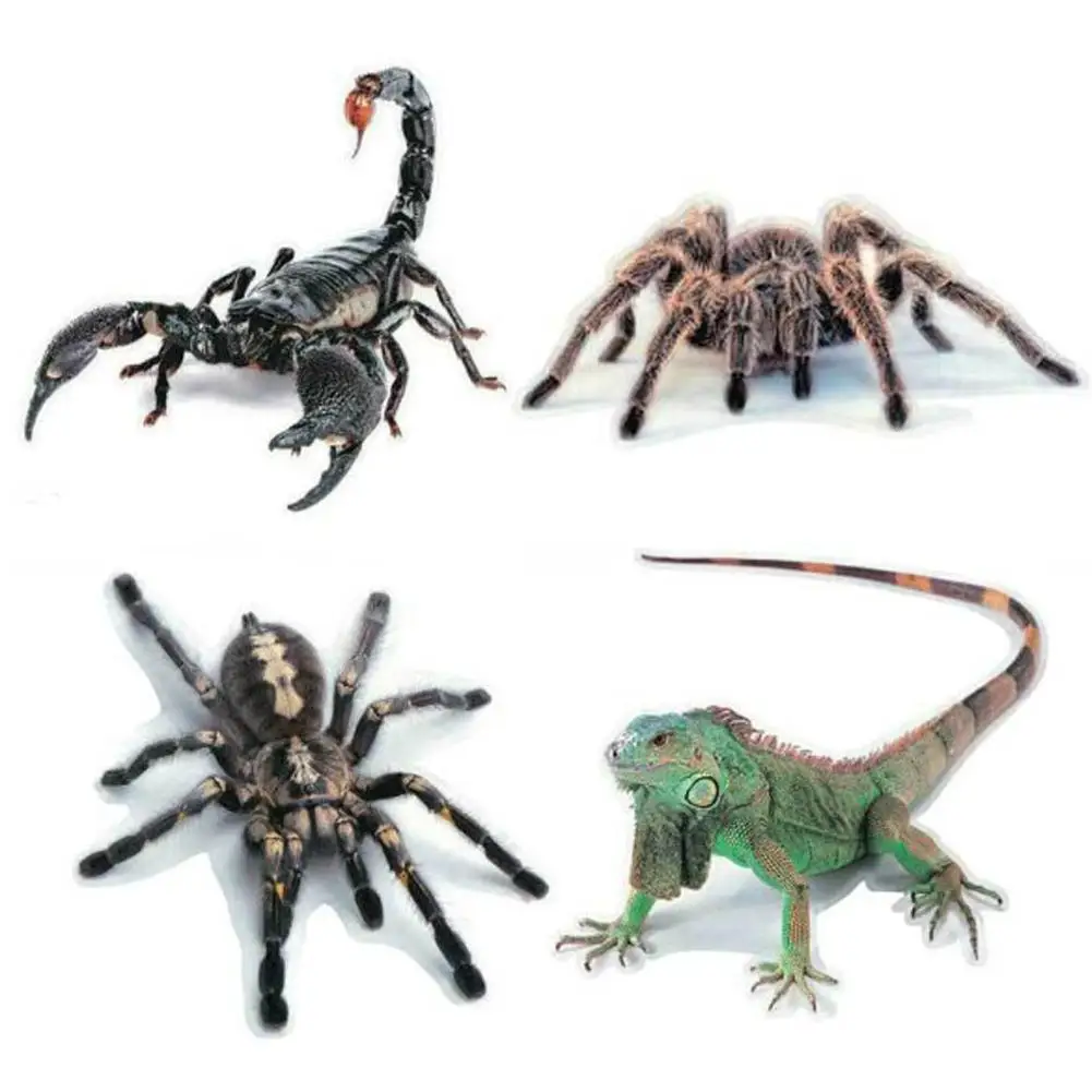 

Car Sticker Cartoon Personality Decor Decal 3D Car Sticker Scorpion Lizard Black Spider Red Spider Cartoon Wholesale Purchasing