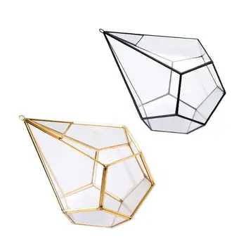 

Five-sided Drop-shaped Glass Flower Room Succulent Flower Pots Eternal Flower Gift Box Decorations Micro Landscape Glass Cover