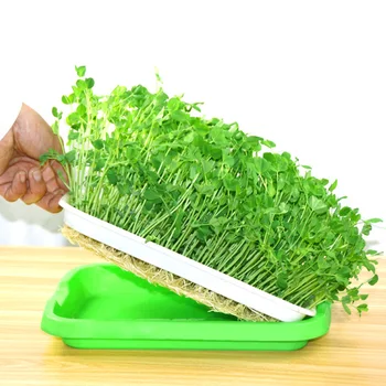 

New Hydroponic Nursery Pots Seed Sprouter Tray Basket Flower Plant Germination Tray Box For Garden Supplies Drop Sale