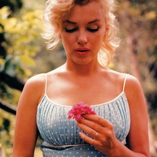 Marilyn Monroe Flower Poster Print by Sam Shaw (16 x 20) | Дом и сад