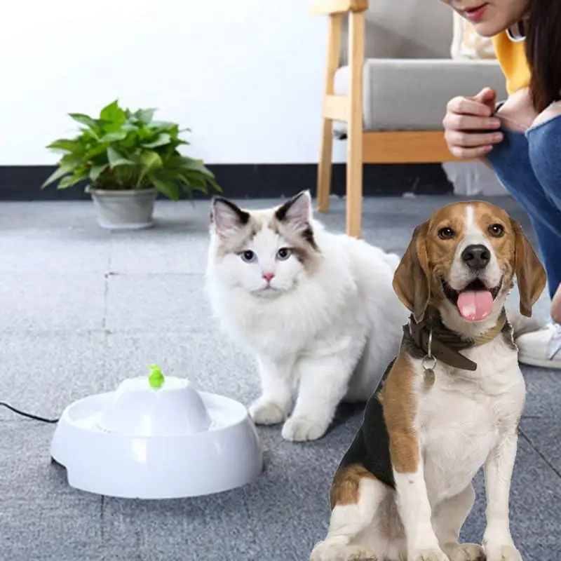 Pet Oxygen Water Dispenser Automatic Circulating Water Smart Filter Purifier Deeply Soften Water Anti-Spill Electric Dispenser
