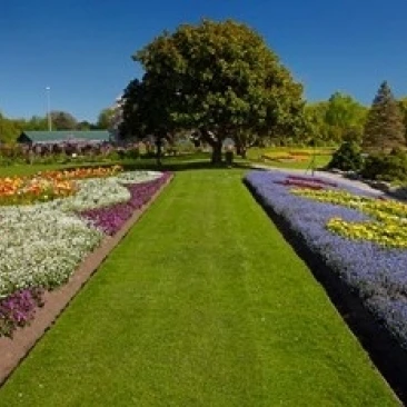 Pollard Park Blenheim Marlborough Новая Зеландия плакат печать Дэвида Уолла (36x24) | Дом и сад