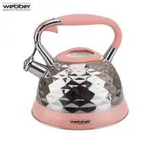 Чайник металлический WEBBER ВЕ-0542 из нержавеющей стали, сатин 3,0 л