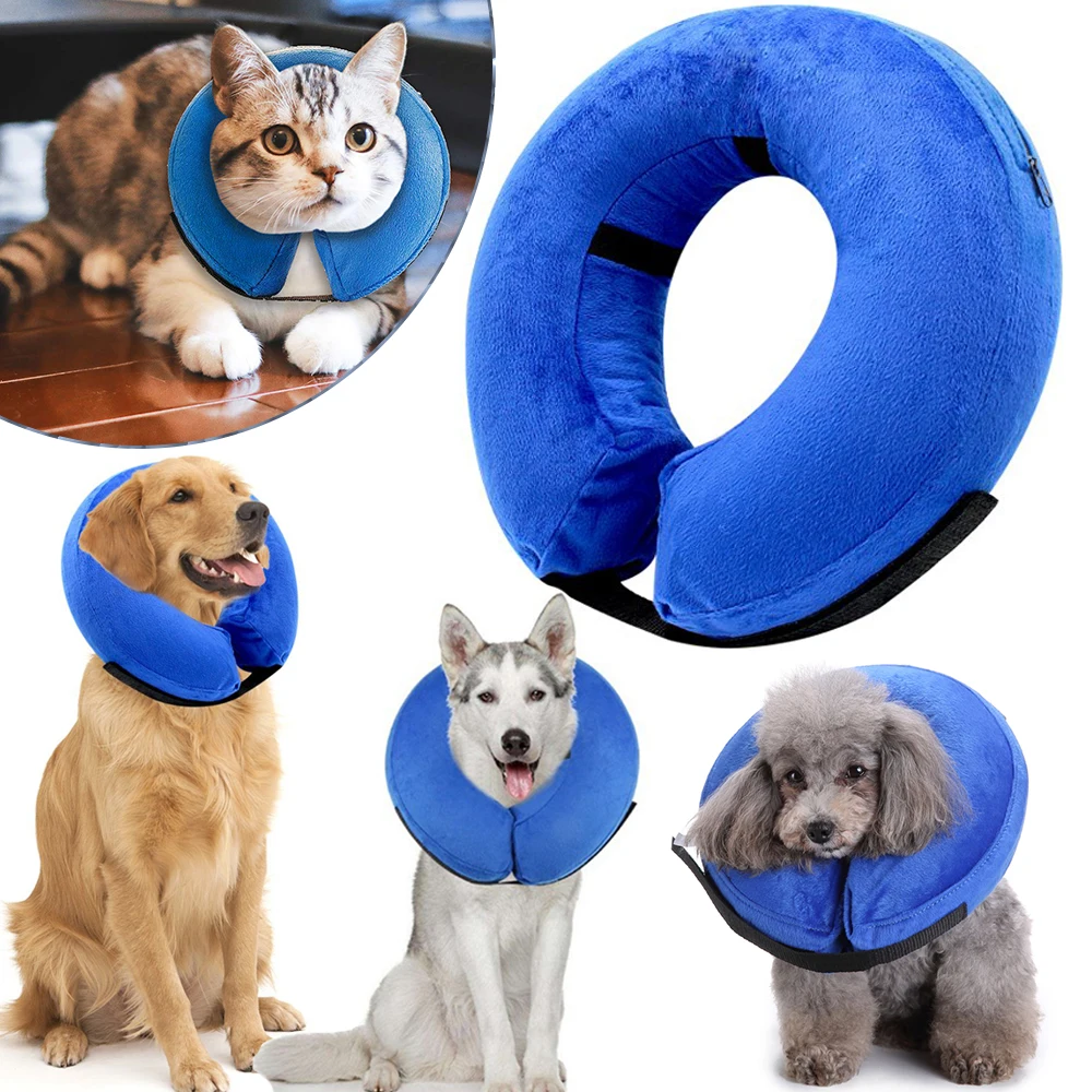 

Dark Blue Dog Collar For Dogs 2019 New Pet Products Adjustable Pet Products For Dog Pet Supplies Cat OBQ Collare Catena Cane