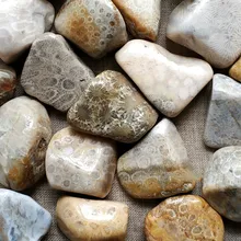 100g natural coral jade stone chrysanthemum stone gravel original stone landscaping decorative stone ornaments ore цена 100g natural coral jade stone chrysanthemum stone gravel original stone landscaping decorative stone ornaments ore цены онлайн